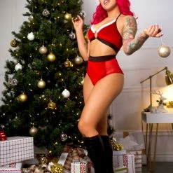The Sugarpuss Collection Santa's Helper Red Velvet With Mesh Pin Up Set Sheer, Mesh And Fishnet
