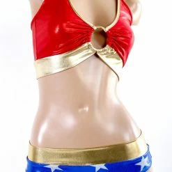 The Sugarpuss Collection Costumes Star Superheroine Low Rise Cheeky Bottoms