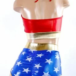 The Sugarpuss Collection Costumes Star Superheroine Classic Briefs In Metallic Stars