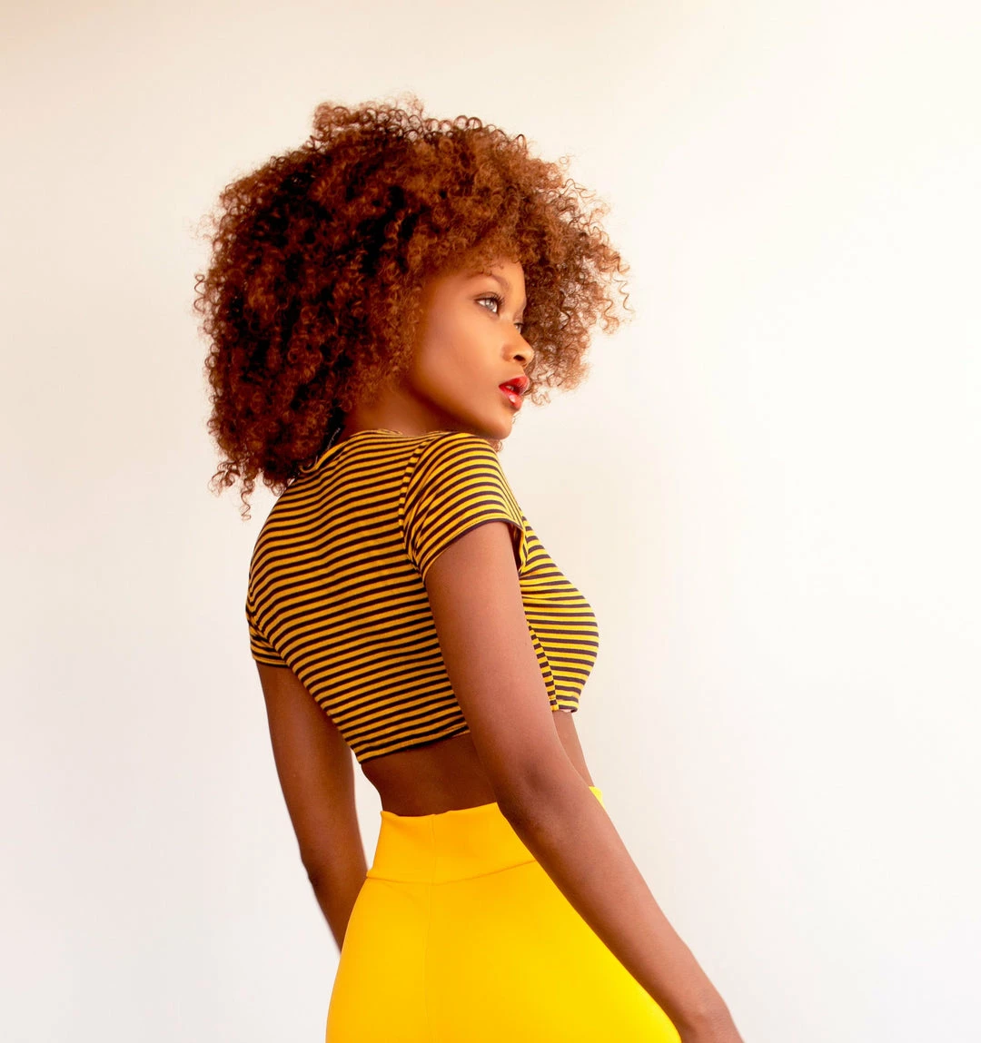 The Sugarpuss Collection Retro Stripes 'Sugarpuss' Logo Crop Tee With Short Sleeves Sugarpuss Classic Tees 3 The Sugarpuss Collection Retro Stripes 'Sugarpuss' Logo Crop Tee With Short Sleeves Sugarpuss Classic Tees